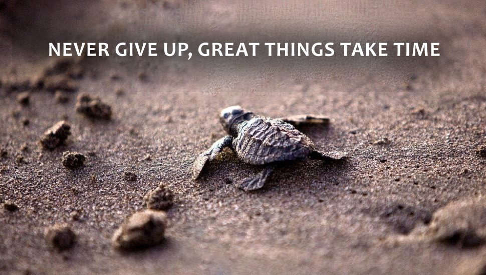 Never Give Up!