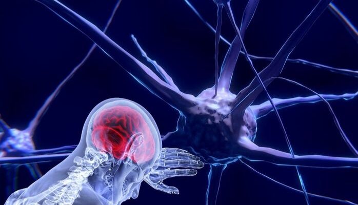 Neuroscience & AI