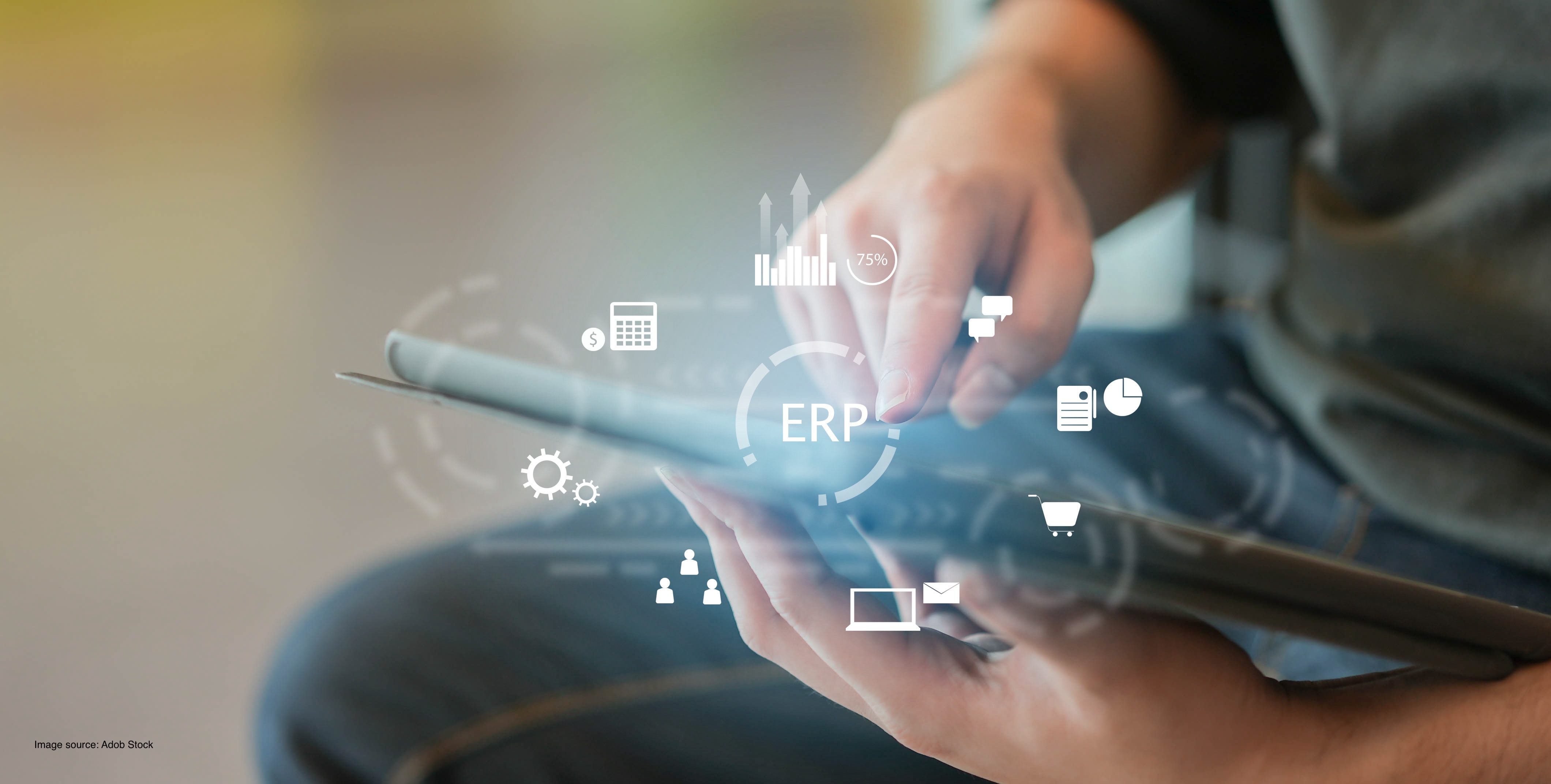 top ERP trends of 2024 and Integrations